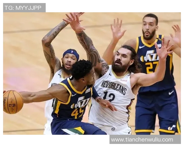 2009年NBA季后赛掘金对阵黄蜂精彩录像回放全程回顾与分析